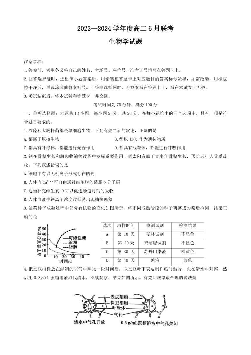 河南省百师联盟联考2023-2024学年高二下学期6月月考生物试题（有解析）