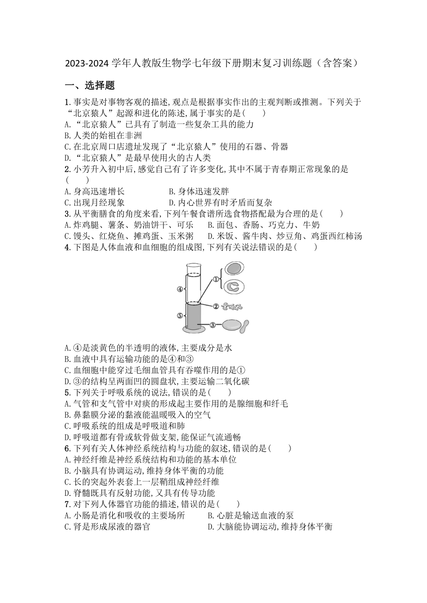 2023-2024学年人教版生物学七年级下册期末复习训练题（含答案）