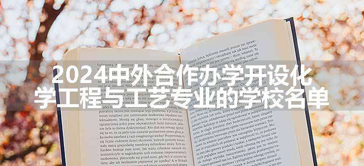 2024中外合作办学开设化学工程与工艺专业的学校名单