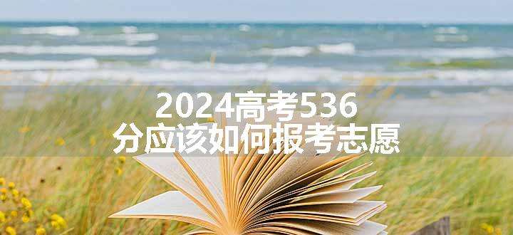 2024高考536分应该如何报考志愿