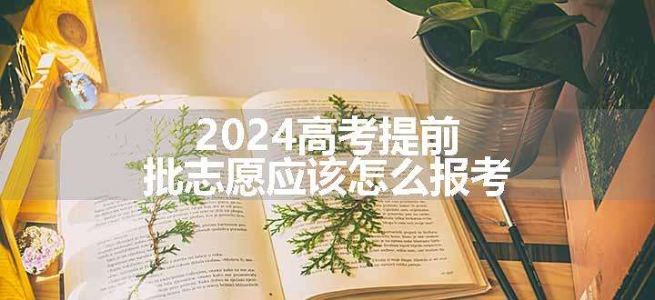 2024高考提前批志愿应该怎么报考