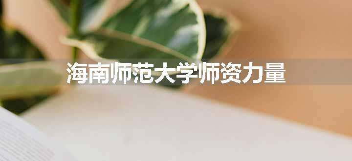 海南师范大学师资力量