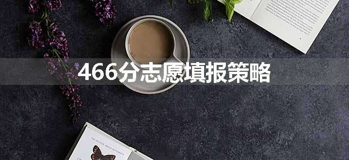 466分志愿填报策略