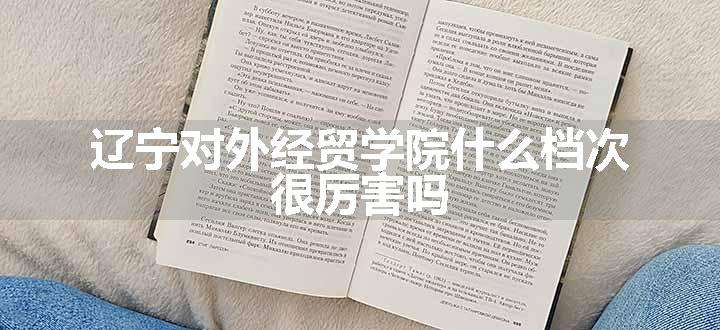 辽宁对外经贸学院什么档次 很厉害吗