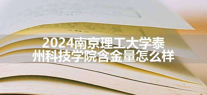 2024南京理工大学泰州科技学院含金量怎么样