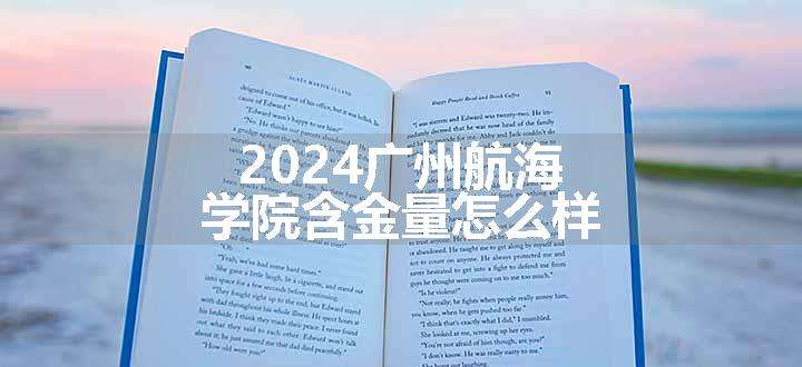 2024广州航海学院含金量怎么样