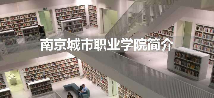 南京城市职业学院简介