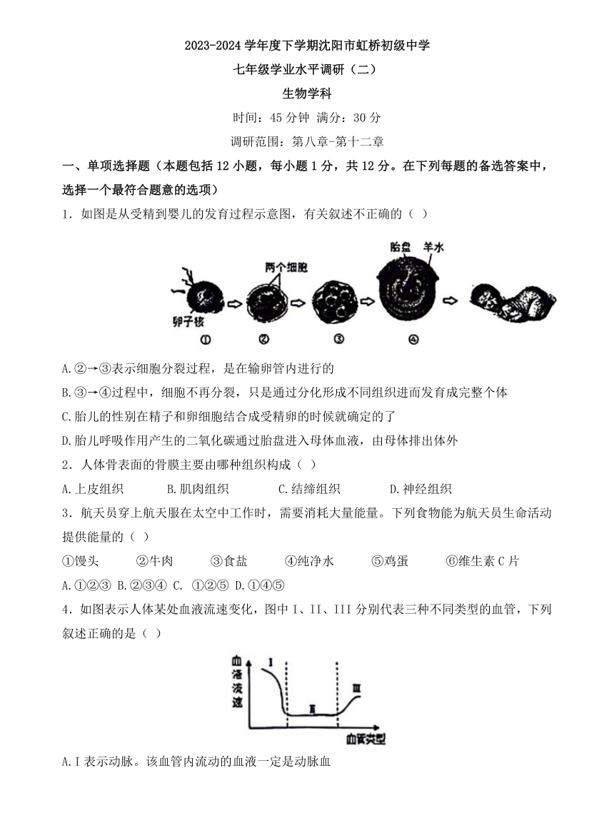 辽宁省沈阳市虹桥初级中学2023-2024学年七年级下学期6月考生物试题（含答案）