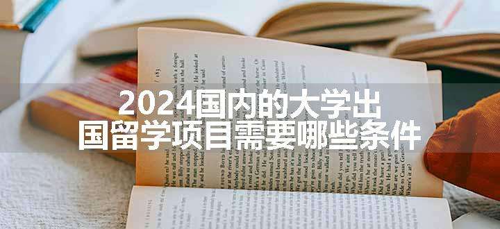 2024国内的大学出国留学项目需要哪些条件