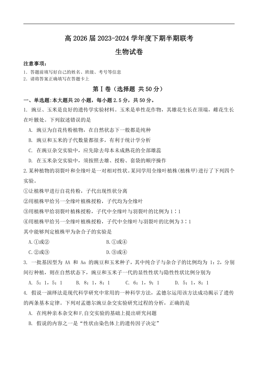 四川省眉山市东坡区2023-2024学年高一下学期期中考试生物试卷（含答案）