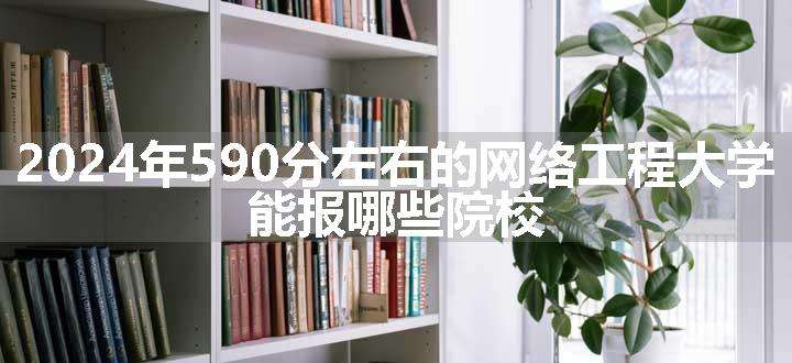 2024年590分左右的网络工程大学 能报哪些院校