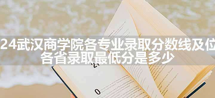 2024武汉商学院各专业录取分数线及位次 各省录取最低分是多少