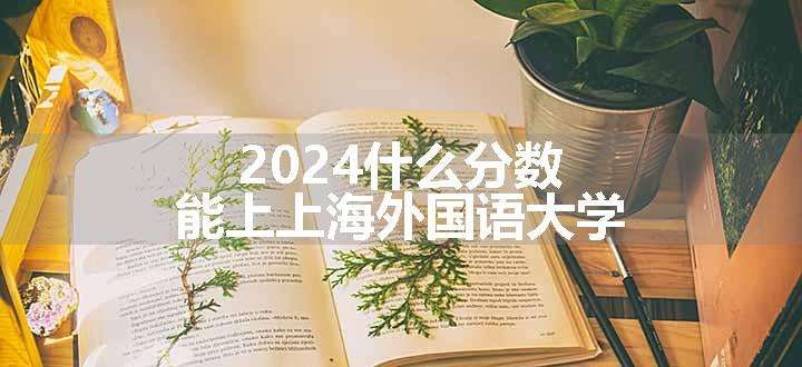 2024什么分数能上上海外国语大学