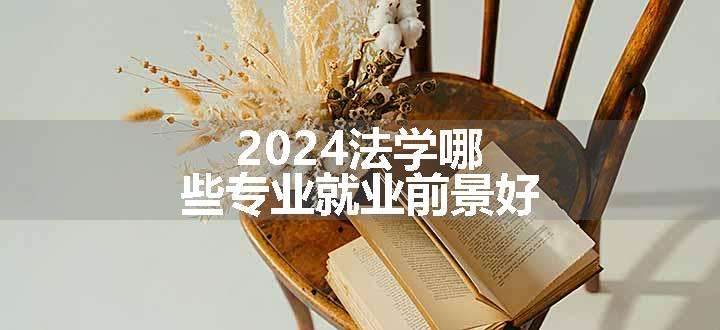 2024法学哪些专业就业前景好