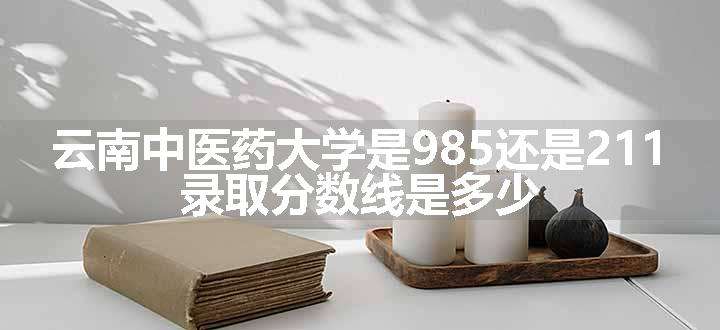 云南中医药大学是985还是211 录取分数线是多少