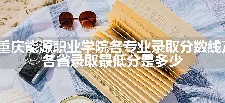 2024重庆能源职业学院各专业录取分数线及位次 各省录取最低分是多少