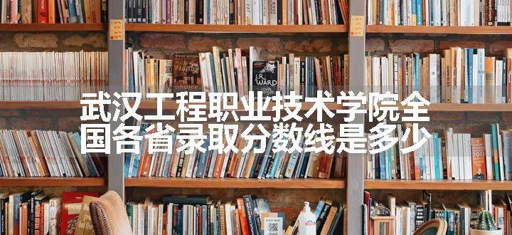 武汉工程职业技术学院全国各省录取分数线是多少