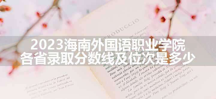 2023海南外国语职业学院各省录取分数线及位次是多少