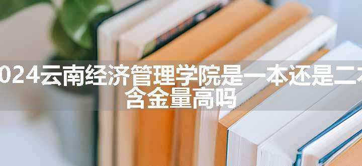 2024云南经济管理学院是一本还是二本 含金量高吗