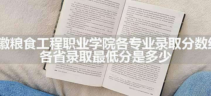 2024安徽粮食工程职业学院各专业录取分数线及位次 各省录取最低分是多少