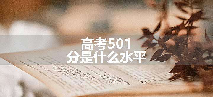 高考501分是什么水平