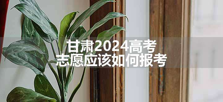 甘肃2024高考志愿应该如何报考