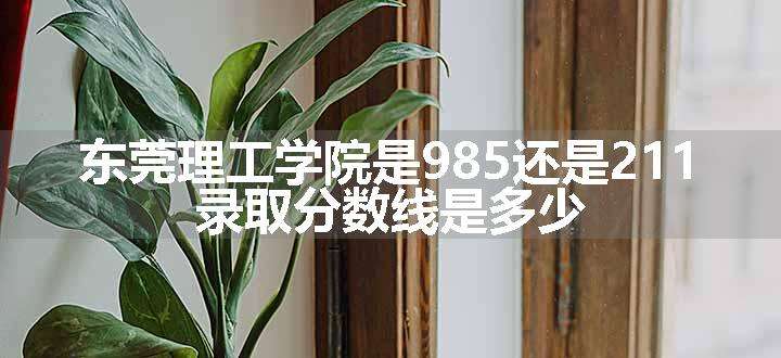 东莞理工学院是985还是211 录取分数线是多少