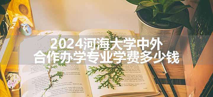 2024河海大学中外合作办学专业学费多少钱