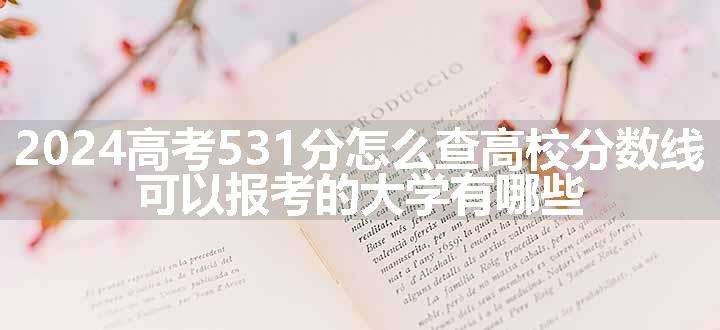 2024高考531分怎么查高校分数线 可以报考的大学有哪些