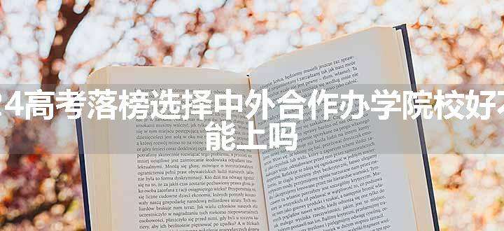 2024高考落榜选择中外合作办学院校好不好 能上吗