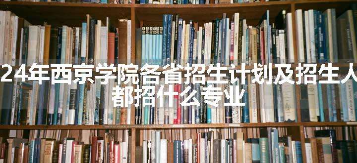 2024年西京学院各省招生计划及招生人数 都招什么专业