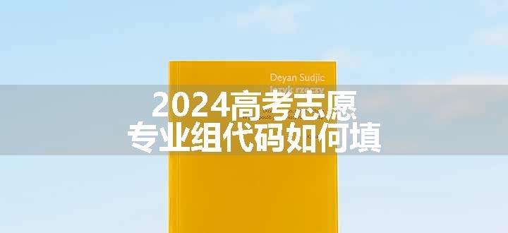 2024高考志愿专业组代码如何填