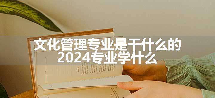 文化管理专业是干什么的 2024专业学什么