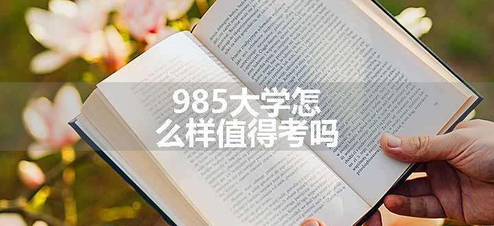 985大学怎么样值得考吗