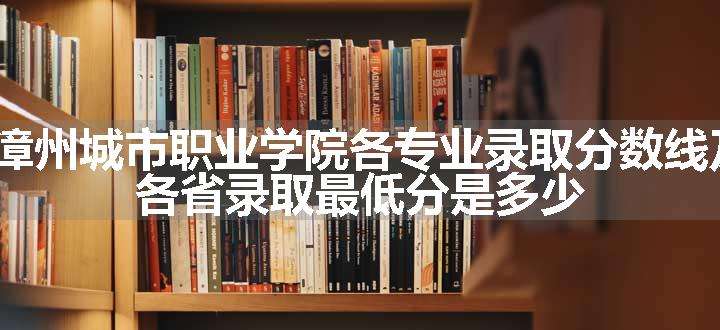 2024漳州城市职业学院各专业录取分数线及位次 各省录取最低分是多少