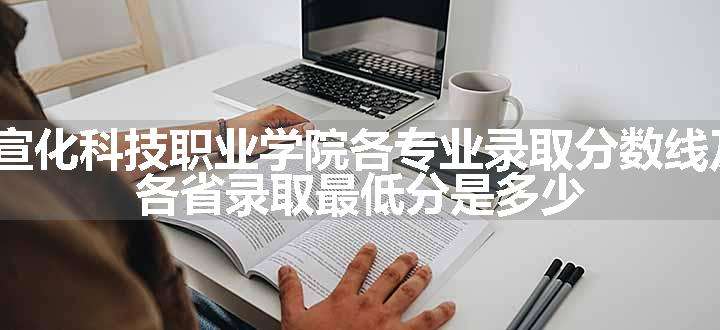 2024宣化科技职业学院各专业录取分数线及位次 各省录取最低分是多少