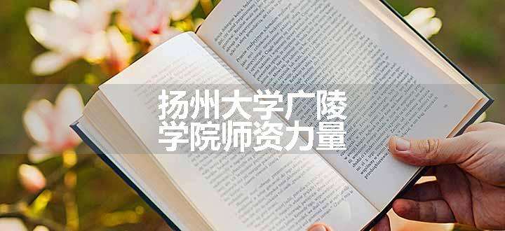 扬州大学广陵学院师资力量