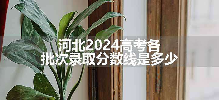 河北2024高考各批次录取分数线是多少