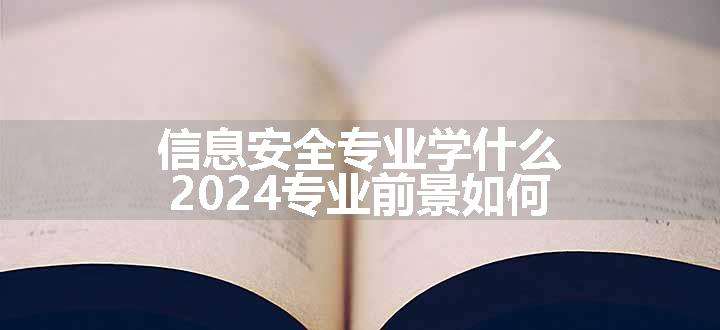 信息安全专业学什么 2024专业前景如何