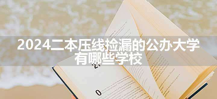 2024二本压线捡漏的公办大学 有哪些学校