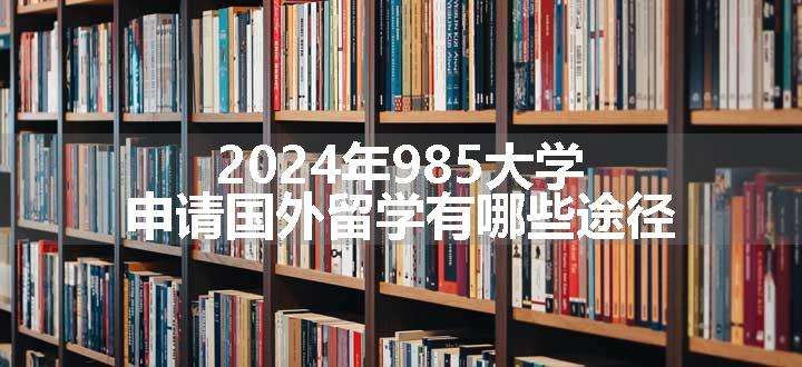 2024年985大学申请国外留学有哪些途径