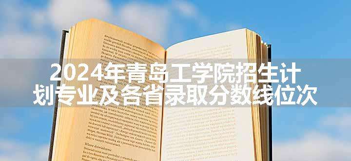 2024年青岛工学院招生计划专业及各省录取分数线位次