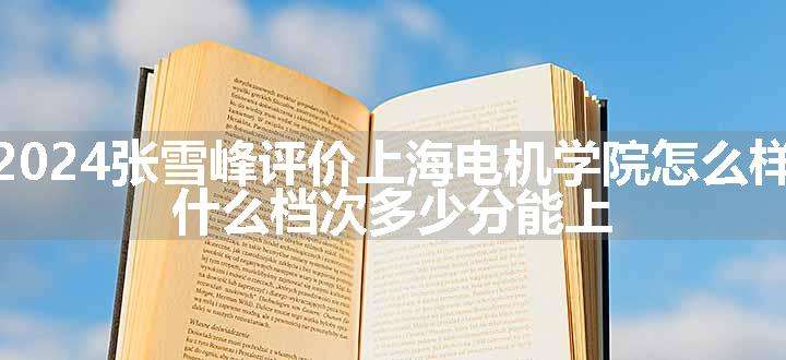 2024张雪峰评价上海电机学院怎么样 什么档次多少分能上