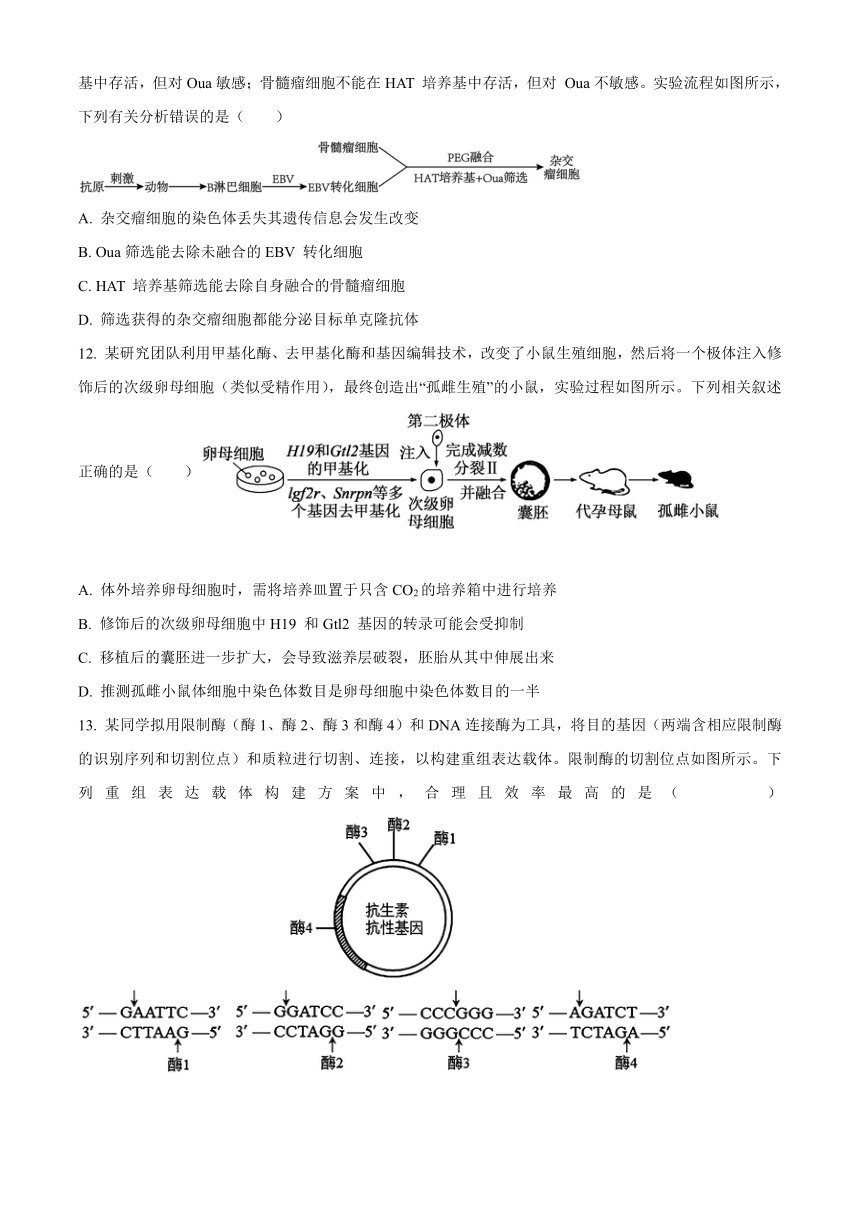 贵州省遵义市2023-2024学年高二下学期6月月考试题 生物（含解析）