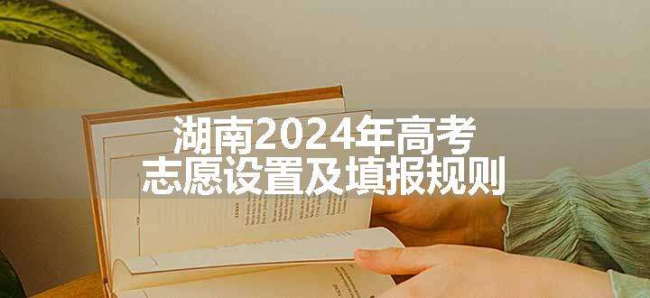 湖南2024年高考志愿设置及填报规则