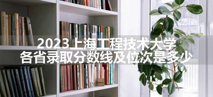 2023上海工程技术大学各省录取分数线及位次是多少