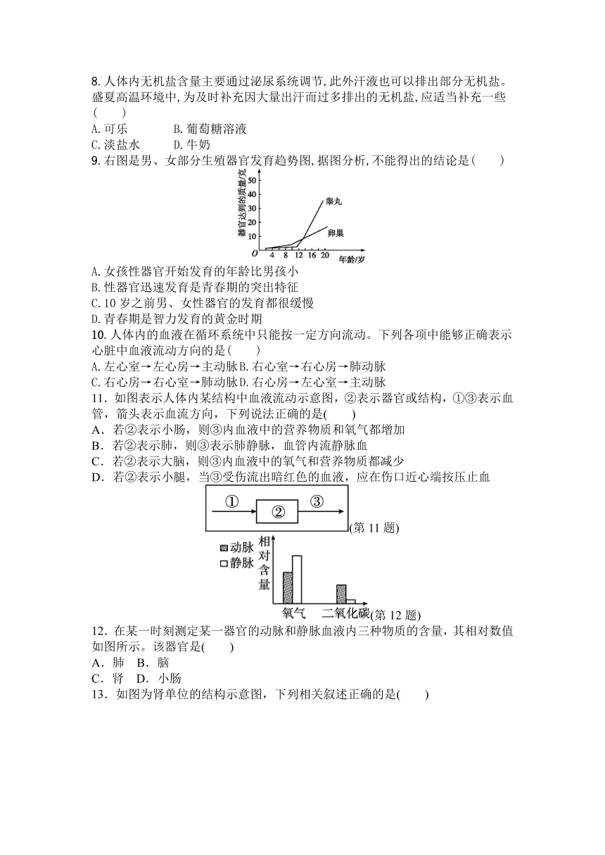 2023-2024学年人教版生物学七年级下册期末复习训练题（含答案）