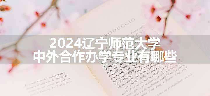 2024辽宁师范大学中外合作办学专业有哪些