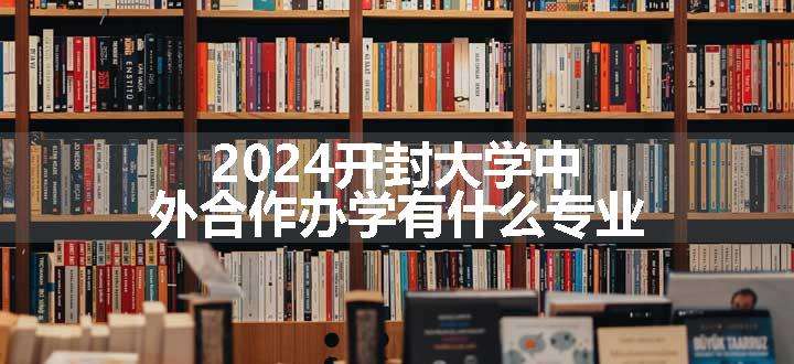 2024开封大学中外合作办学有什么专业