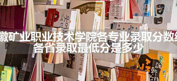 2024安徽矿业职业技术学院各专业录取分数线及位次 各省录取最低分是多少